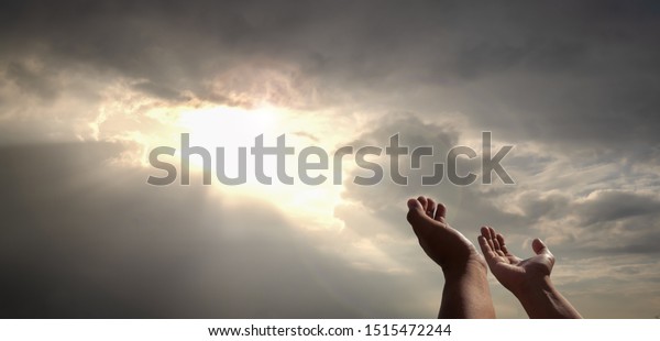 praying hands of a man for blessings his god\
on the sunset. People of all religions, Christians, Muslims,\
Buddhists humility their believed God and hope for life love  world\
peace, sun rays\
background
