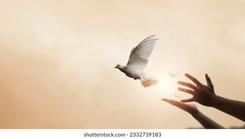 Praying hands and white dove flying happily on blurred background with sunset , hope and freedom  concept.