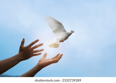 Manos rezando y paloma blanca volando alegremente sobre un fondo borroso. el concepto de esperanza y libertad.
