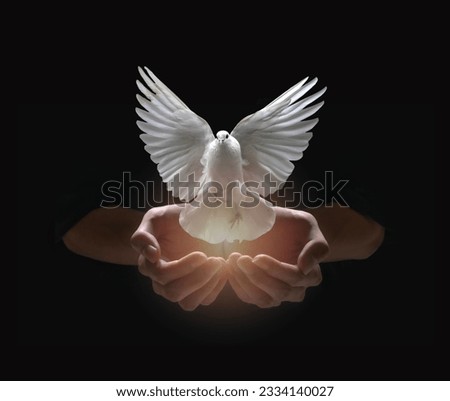 Praying hands and white dove flying happily on black background , hope and freedom concept.