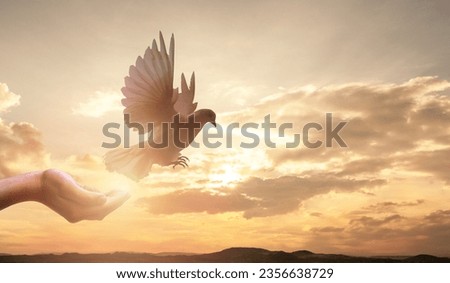 Praying hands and white dove flying happily on blurred background with sunset , hope and freedom concept.