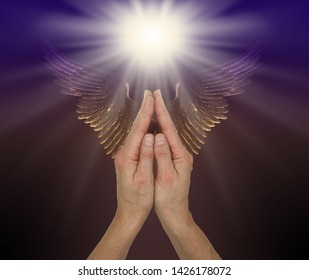 Praying for help from the Angelic Realms - female hands in praying position with a bright white light above and a pair of purple gold Angel wings
