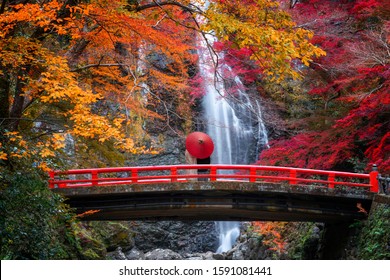 Pre wedding photo for Japanese couple and red umbrella on the red bridge in minoh waterfall park with autumn red and yellow background, Osaka, Japan - Powered by Shutterstock