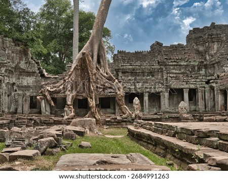 Preah Khan Tree Temple - A massive tree with sprawling roots intertwined with the ancient stone ruins of Preah Khan temple under a cloudy sky.