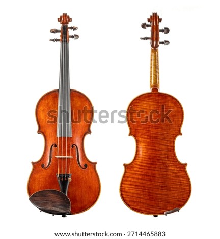 Precious violin front and back view isolated on white