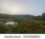 Precipe Trail - Acadia National Park, ME