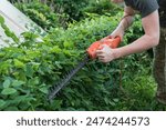 precise hedge trimming with electric shears