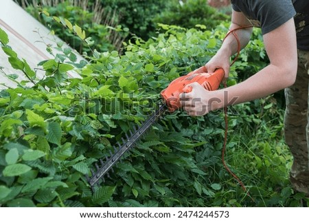 precise hedge trimming with electric shears
