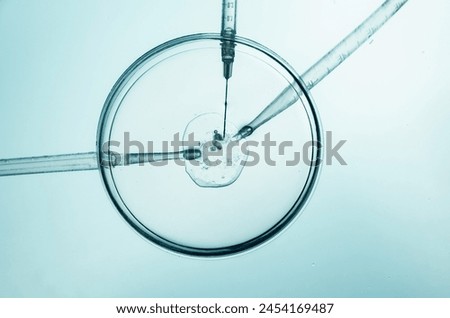 A precise moment in in vitro fertilization process captured.