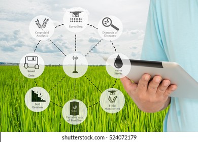 Precision Agriculture and Agritech concept. Sensor network in Agriculture technology network on framer using digital tablet to connect the sensor system against rice field background.