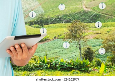 Precision Agriculture and Agritech concept. Sensor network in Agriculture technology network on framer using digital tablet to connect the sensor system against agricultural field background.