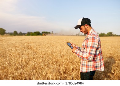 Precision Farming. Farmer Holding Tablet Pc, Using Online Data Management Software At Wheat Field. Agronomist Working With Touch Computer Screen, Control, Analyse Agriculture Business. Innovative Tech