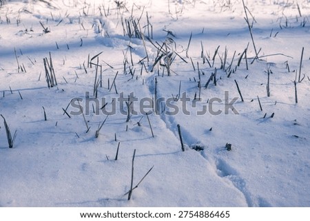 Precondition: persistent snowpack over winter cereals. consequence: delayed phenological development yet reduced freeze damage - critical balance for yield stability with selective focus
