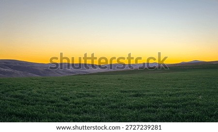 Pre-Dawn Winter Wheat Field in Eastern Oregon