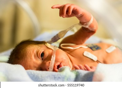 Premature Baby Images, Stock Photos & Vectors | Shutterstock