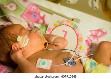 Preemie Baby Girl One Month In The Nicu