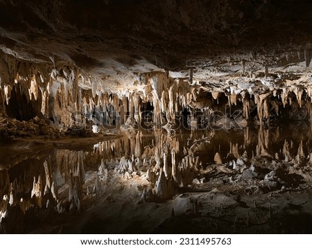 A prefect mirror image of that stalactites reflecting off water in a cave in Shenandoah National Park