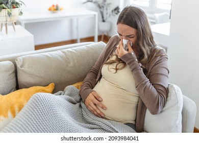 Pregnancy And Illness. Sick Pregnant Woman Blowing Nose In Tissue Having Fever Sitting On Sofa Indoor Suffering From Covid-19