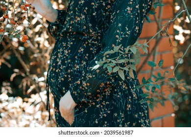 Pregnancy Photo Session, Pregnancy Belly Among Wild Rose