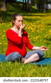 Pregnancy yoga exercise - pregnant woman doing pranayama breath exercise in Sukhasana easy yoga pose with crossed legs outdoors on grass lawn with dandelions in summer
