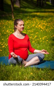 Pregnancy yoga exercise - pregnant woman meditating in yoga asana Sukhasana easy yoga pose with chin mudra outdoors on grass lawn with dandelions in summer