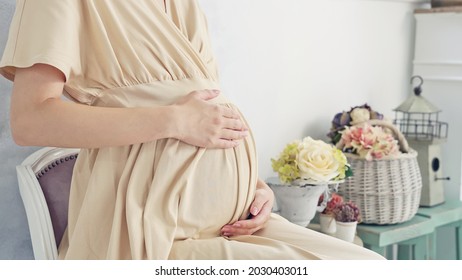 Pregnant Asian Woman Concept. Maternity Photography.