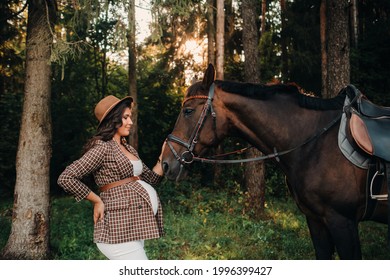Belly Riding Horse