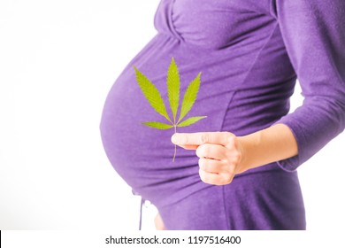 Pregnant Girl And Cannabis Marijuana