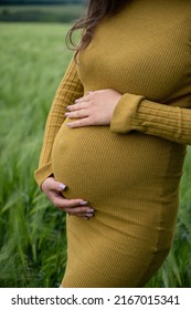 Pregnant Woman With Big Late Pregnancy Time Tummy Holds Her Stomach