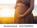 Pregnant Woman Caressing Belly On Wheat Natural Field Background. Belly baby bump in 2nd trimester. Expectant mother with tummy cares about health High quality