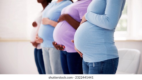 Pregnant Woman Group In Row. Young Mothers - Powered by Shutterstock