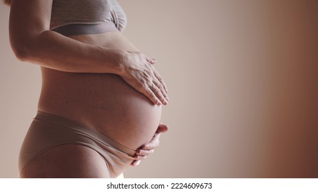 pregnant woman. health pregnancy sunlight motherhood procreation concept. close-up belly of a pregnant woman. woman waiting for a newborn baby. pregnant woman holding her belly indoors - Powered by Shutterstock