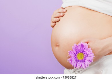 Schwangere, die ihren Bauch und ihre Blume hält