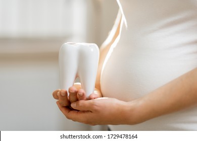 Pregnant Woman Holding Tooth Model Near Her Belly, Close-up View. Concept Of A Dental Health During A Pregnancy