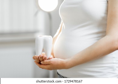 Pregnant woman holding tooth model near her belly, close-up view. Concept of a dental health during a pregnancy
