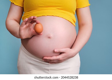 pregnant chick