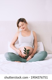 Pregnant woman holds green sprout plant near her belly as symbol of new life, wellbeing, fertility, unborn baby health. Concept pregnancy, maternity, eco sustainable lifestyle, gynecology.