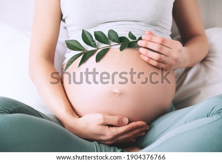 Pregnant woman holds green sprout plant near her belly as symbol of new life, wellbeing, fertility, unborn baby health. Concept pregnancy, maternity, eco sustainable lifestyle, gynecology.
