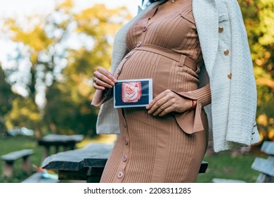 Pregnant Woman Holds Ultrasound Photo Of Her Twins On The Belly Outdoor In Nature Park.