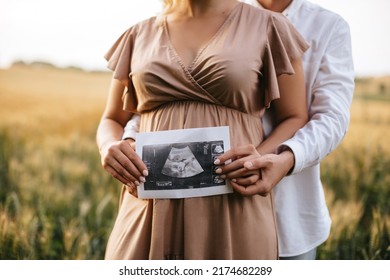 Pregnant woman with husband holding ultrasound baby image. Close-up photo of ultrasound image on the background of a pregnant belly in the hands of mother and father. The concept of pregnancy. 