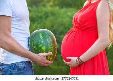 A pregnant woman and a man are holding a watermelon. Selective focus. nature.