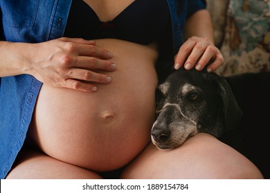 Pregnant Woman With One Hand Over Her Son And The Other Over Her Pet