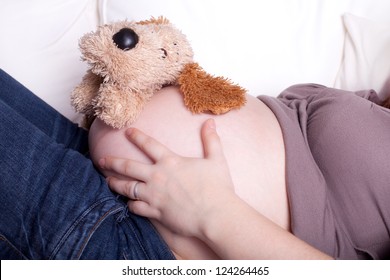 pregnant stuffed dog toy