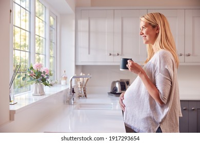 Pregnant Woman Standing By Kitchen Window Touching Stomach Relaxing With Hot Drink - Powered by Shutterstock