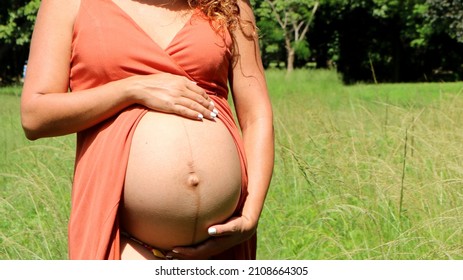 Pregnant Woman In The Third Trimester. The Belly Shows The Pregnancy Line