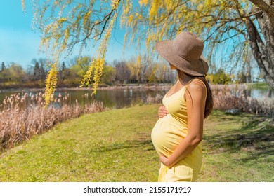 Pregnant Woman Walking In Park Wearing Sun Hat For Skin Solar Protection Against Melasma Skincare During Summer. Pregnancy Care