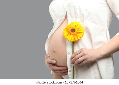A pregnant woman in a white shirt holds a yellow gerbera flower on a gray isolated background. Colors of the 2021 year yellow and grey - Powered by Shutterstock