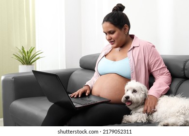 Pregnant Woman Working On Laptop With Dog Sitting On Couch In The Living Room