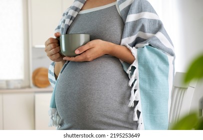 Pregnant Woman Wrapped In Blanket With Cup In Hands Drink Hot Tea. Natural Treatment, Remedies, Homeopathy To Treat Illness While Pregnancy. Herbal Tea For Healthy Pregnance.