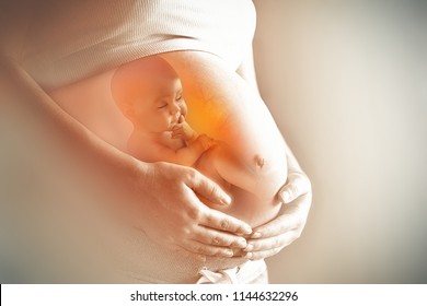 Pregnant woman's belly closeup with a baby inside, conceptual motherhood image - Shutterstock ID 1144632296